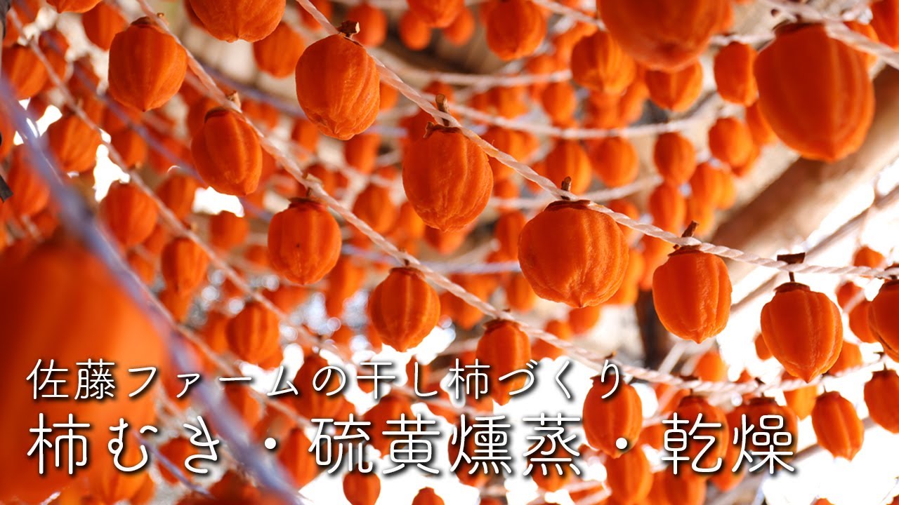 柿むき・硫黄燻蒸・乾燥【佐藤ファーム】｜干し柿｜作り方｜農作業｜Dried persimmon｜