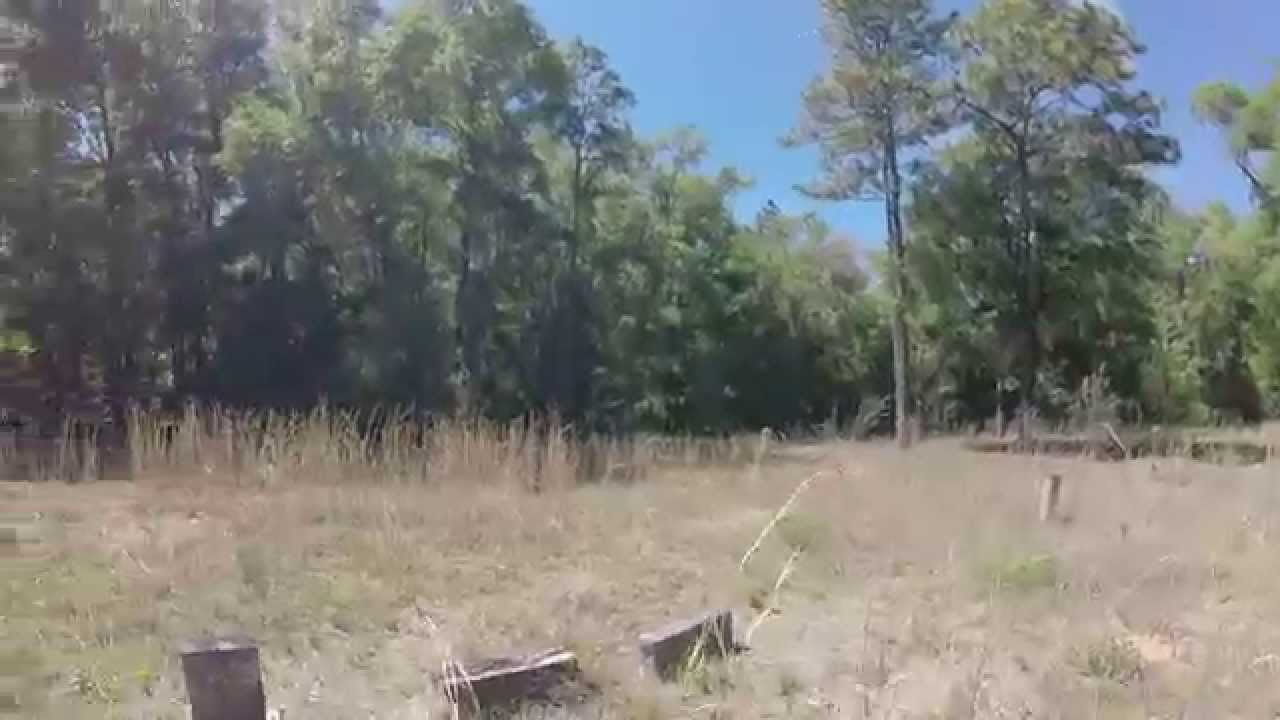Exploring Shiloh Cemetery in Withlacoochee State Forest