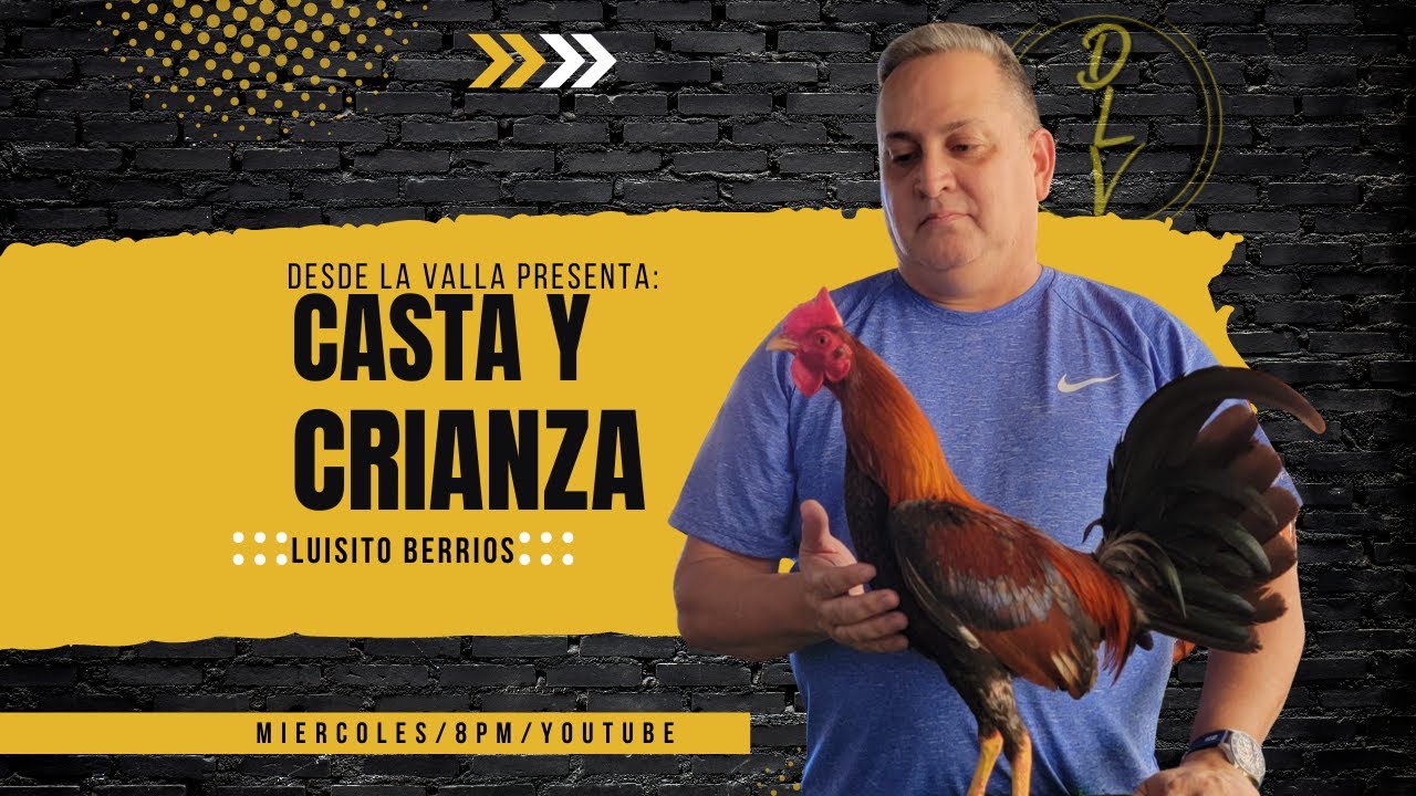 CASTA Y CRIANZA: PREPARACION PARA CASTA