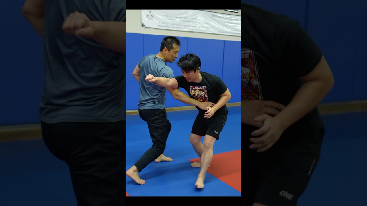 Скорость кунг-фу! Синъи #кунгфу #боевыеискусства #каратэ