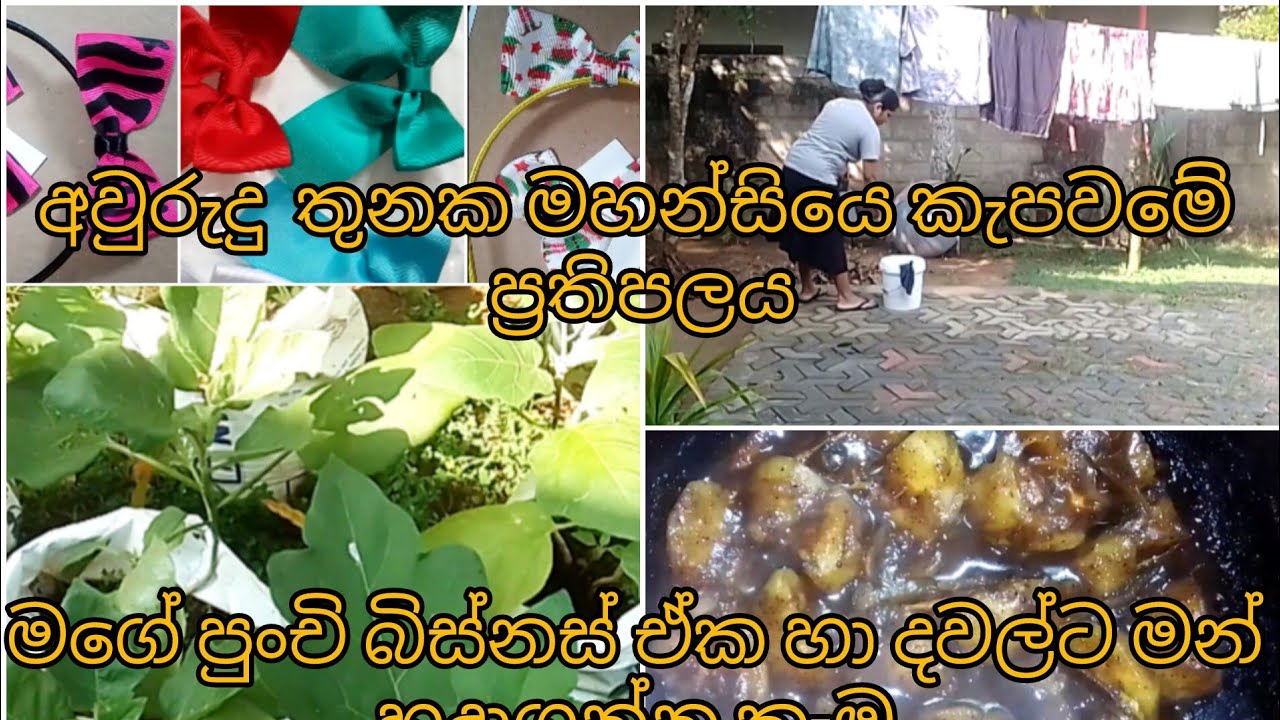 🥰Nilu may Chanal 🥰 මහන්සියෙන් කැපවීමෙන් මන් දිනා ගත්ත දේ 👌👌
