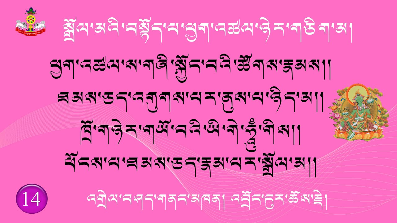 14) སྒྲོལ་མའི་བསྟོད་པ་ཕྱག་འཚལ་ཉེར་གཅིག་མ། ཕྱག་འཚལ་བཅུ་གཅིག་པའི་འགྲེལ་བཤད། Jetsun Dolma Expalanation