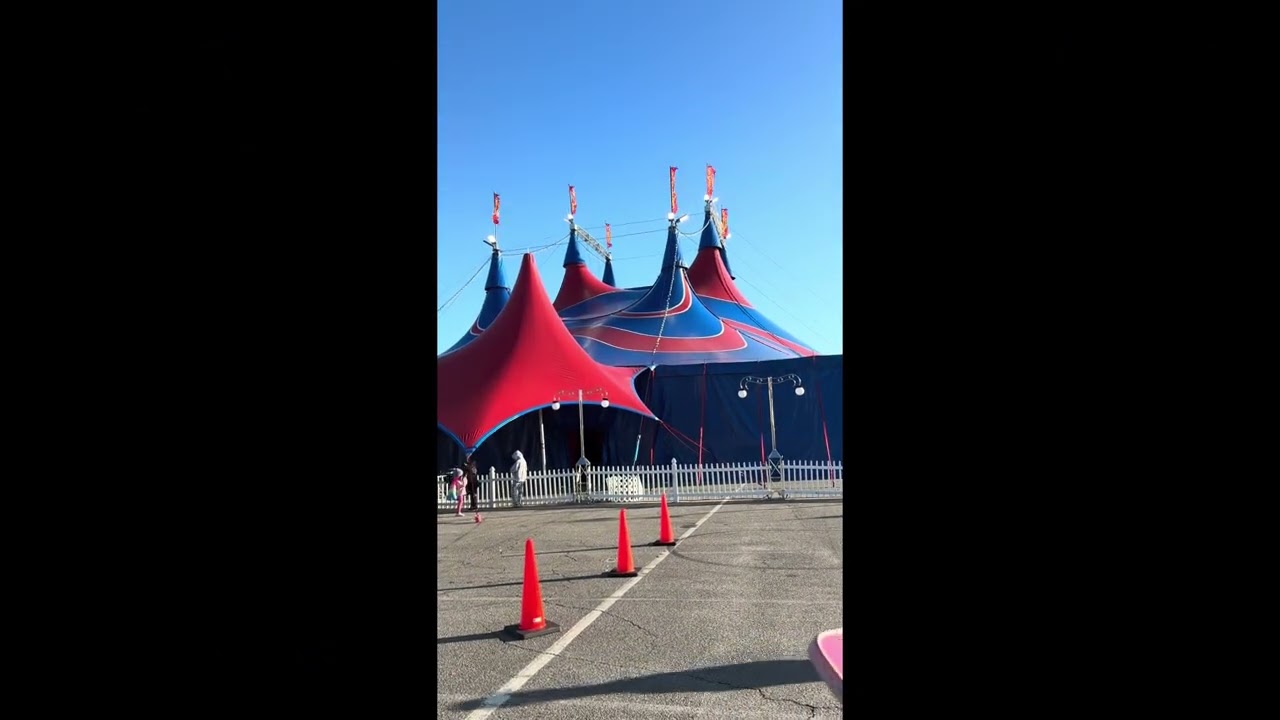 Daily vlog on Saturday's 