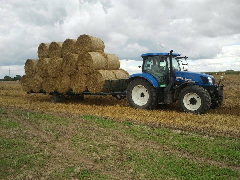 Żniwa 2016 z New Holland T6.155/T4.65 - Claas Dominator 108