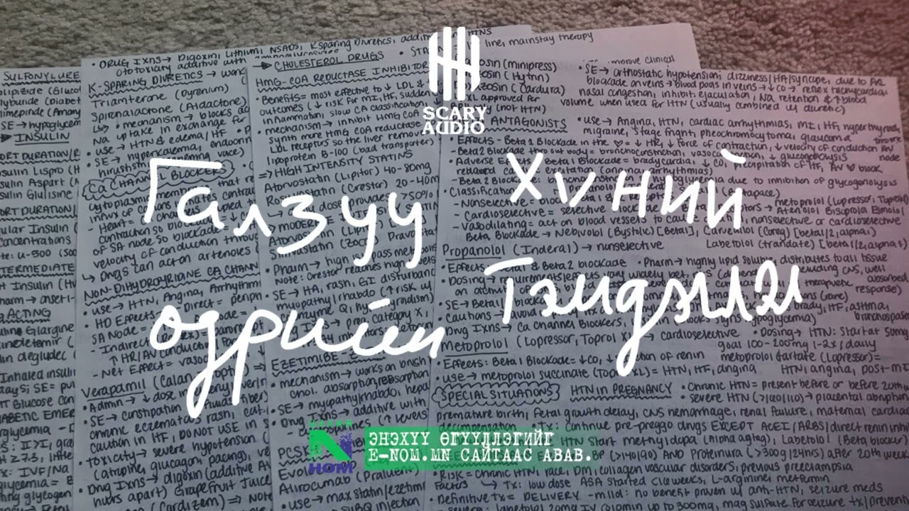 Галзуу хүний өдрийн тэмдэглэл | Лу Синь