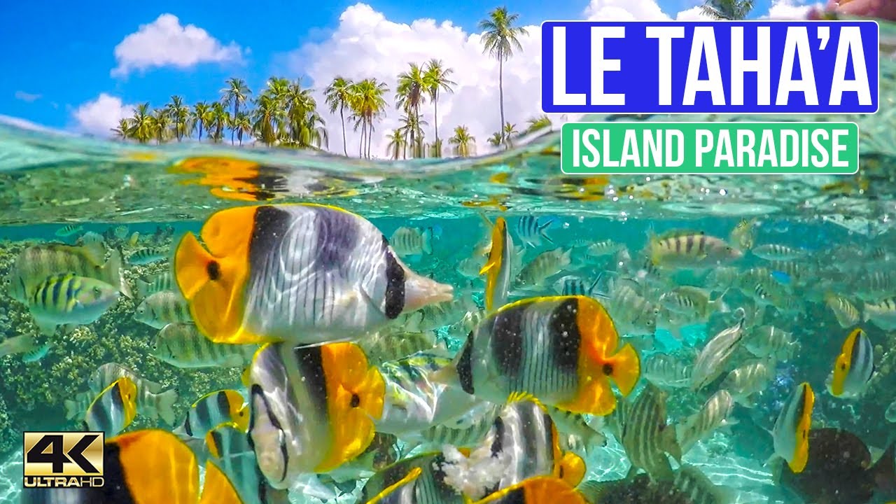 FRENCH POLYNESIA MAGIC ... Best week ever at Le Taha'a Resort and Spa ... Tahaa Society Islands