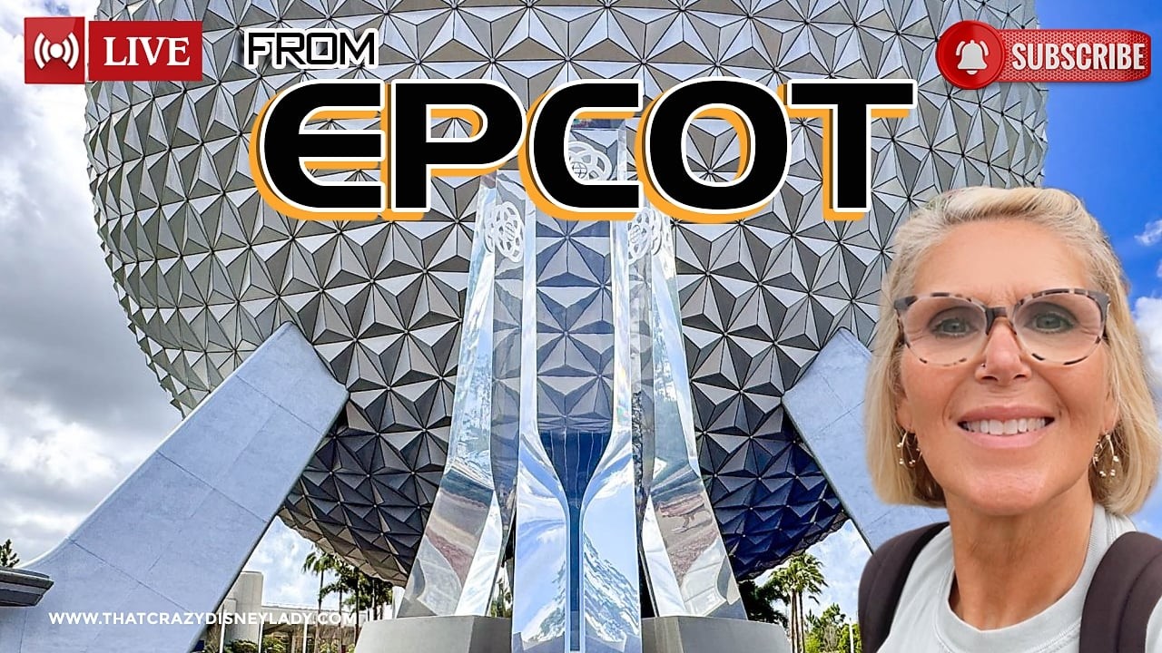 Epcot Shopping/Rides/Fireworks   7/27/26 #live