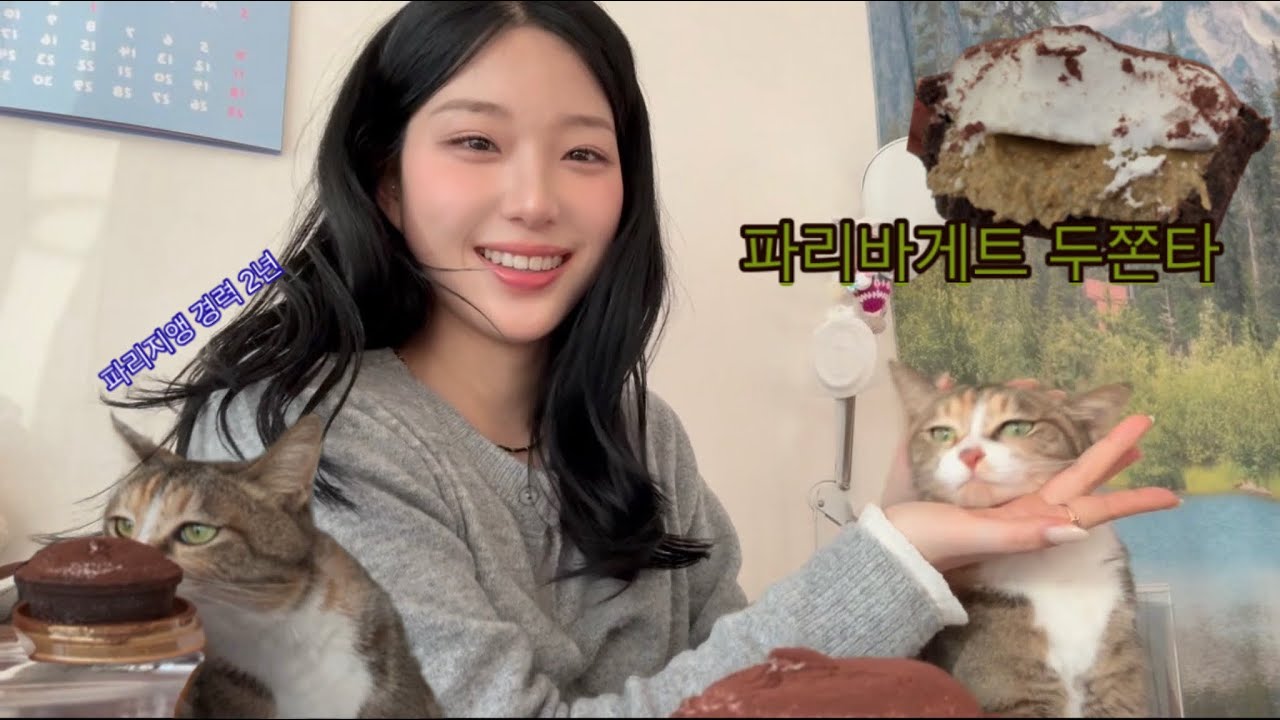 파리바게뜨 두쫀타 먹으면서 고양이 권력 과시