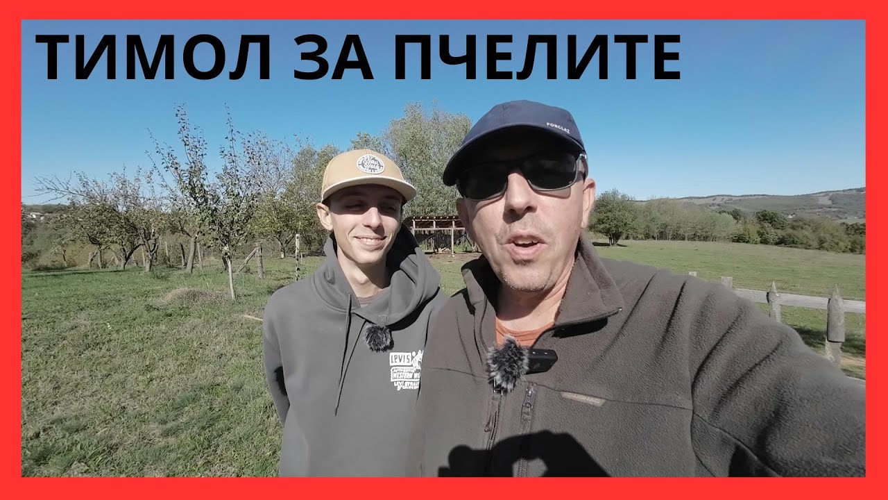 ТИМОЛ ЗА ЗИМАТА