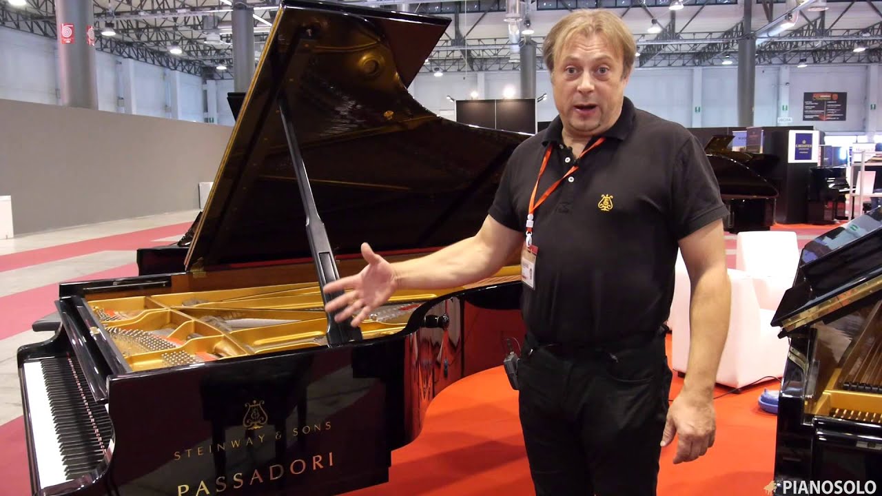 D-274 Steinway - Presentazione