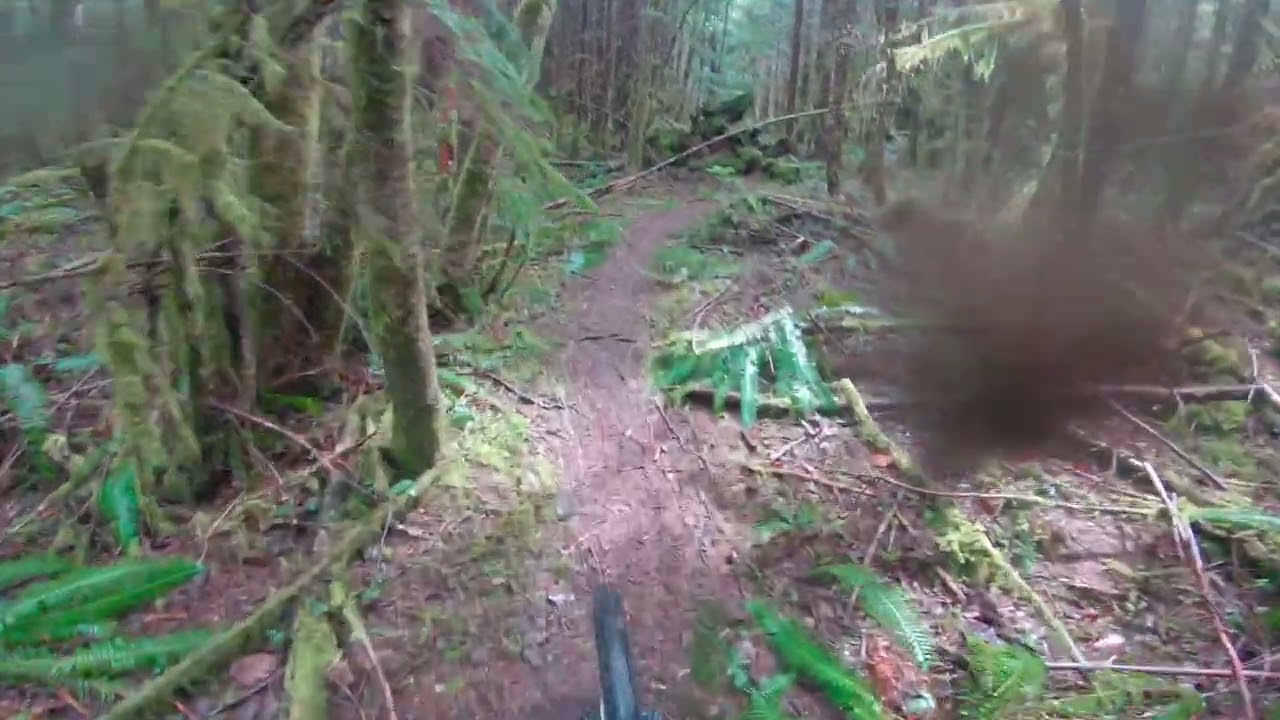 Roberts Creek B&K Roadside Ribs & Ribs#robertscreek #mountainbike #sunshinecoast #bccoast #bc