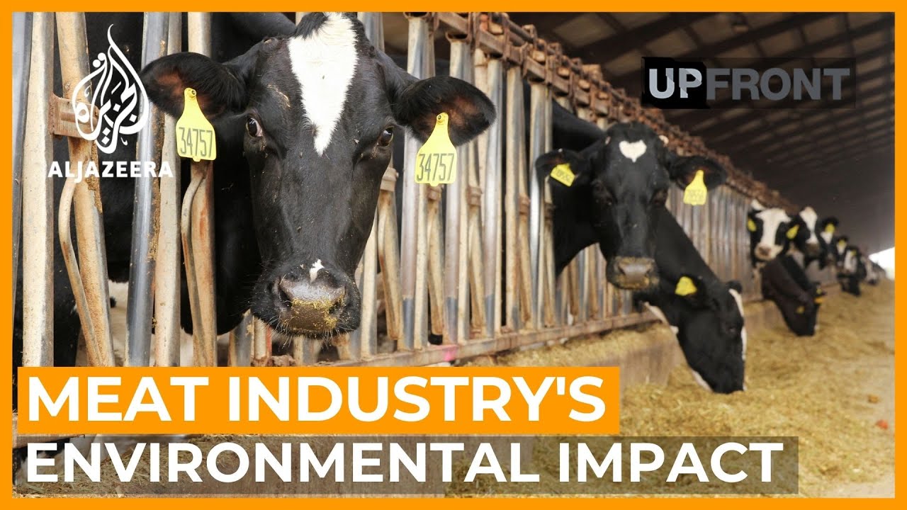 Can cutting meat consumption save the planet? | UpFront