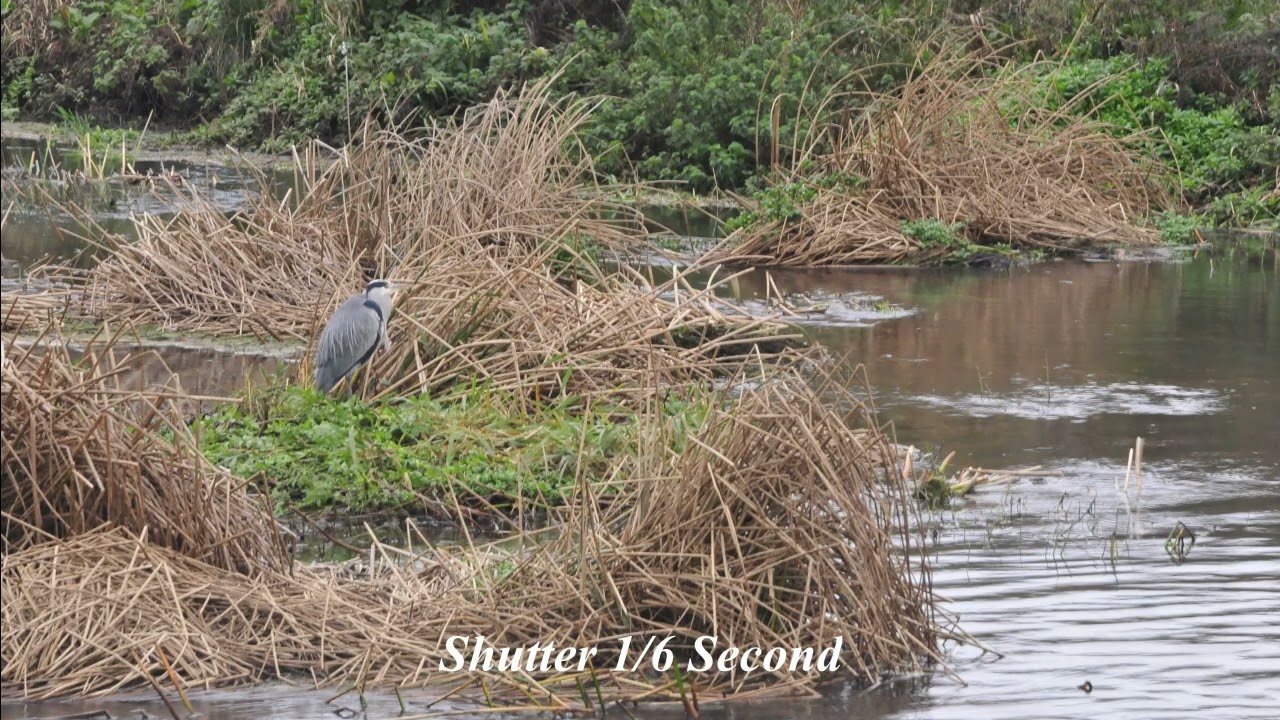 River Stour Christchurch Dorset Weir 28/11/2010 using Slow Shutter Speed Handheld Nikon D300 Camera