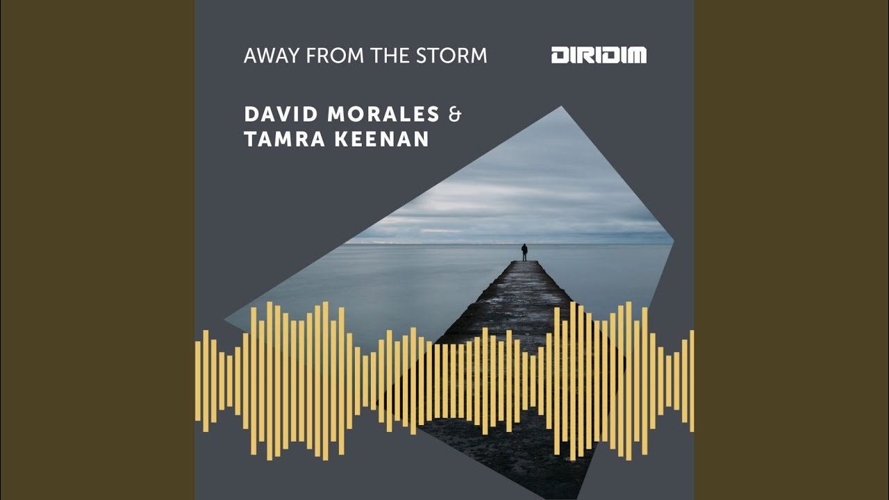 Away from the storm (DIRIDIM Mix)