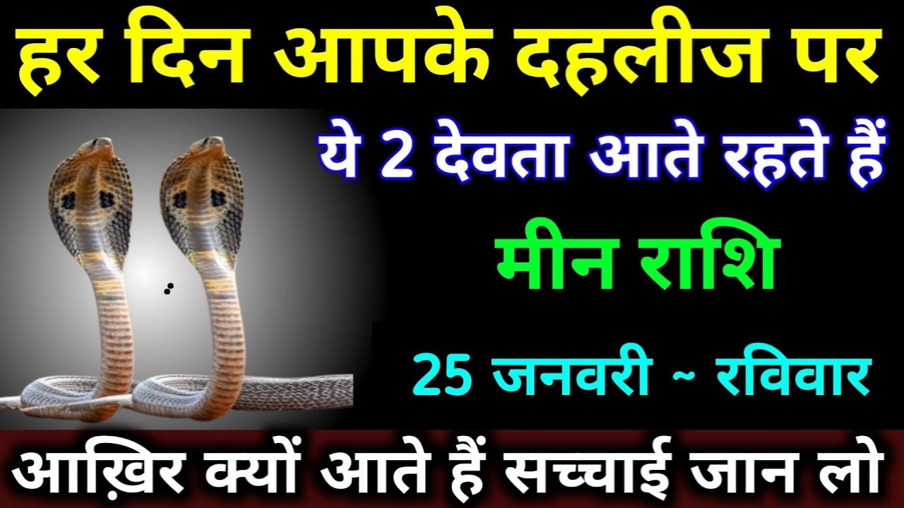 मीन राशि 21 जनवरी 2026 हर दिन आपके दहलीज पर ये 2 देवता आते रहते हैं। 