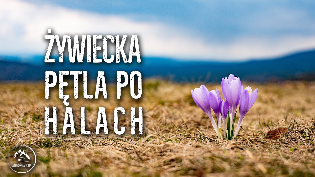 Beskid Żywiecki - Hala: Rysianka, Boracza, Lipowska Bacmańska, Redykalna [1.05.2022]