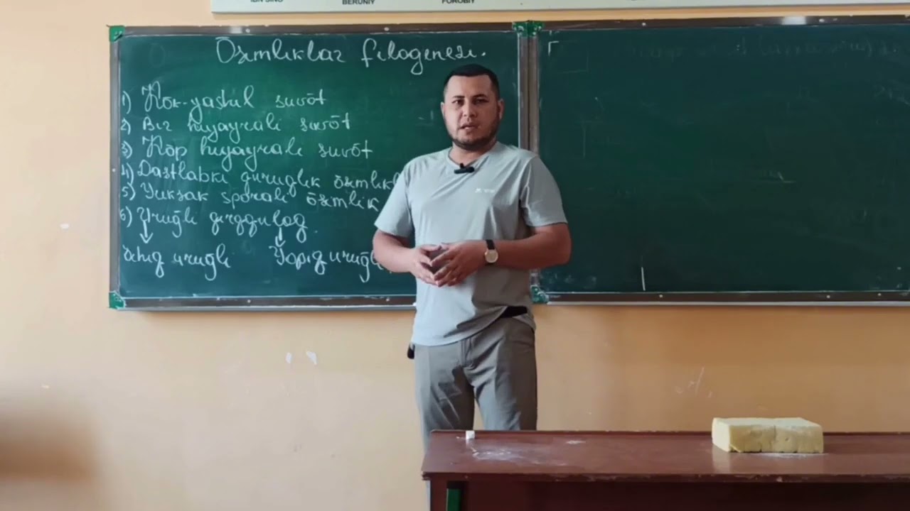 DIQQAT MUHIM:O'SIMLIKLAR FILOGENEZI