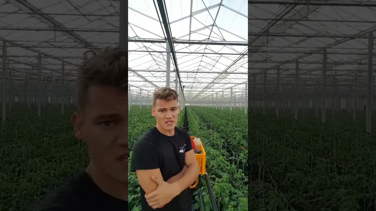 Luuk gaat viral met filmpje tussen de tomaten