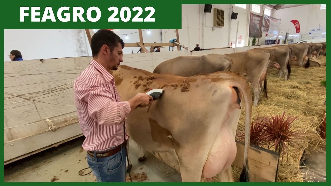 Feagro  em Braço do Norte 2022 .