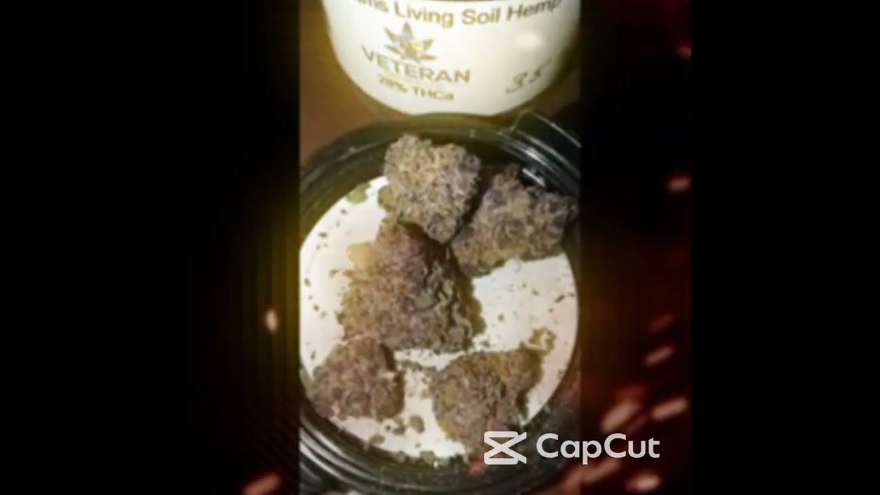 You want potency? You need Veteran Grown Hemp! #thcareview #420 #cannabisheals #hemphealing