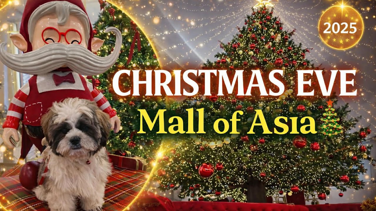 CHRISTMAS EVE AT THE MALL OF ASIA