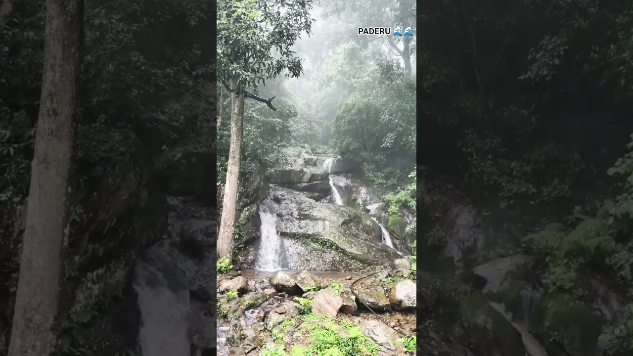 Paderu 🌊🌊🌊 #nature #paderu @water falls #araku, #music #natureview #travel #lifeisbutadream