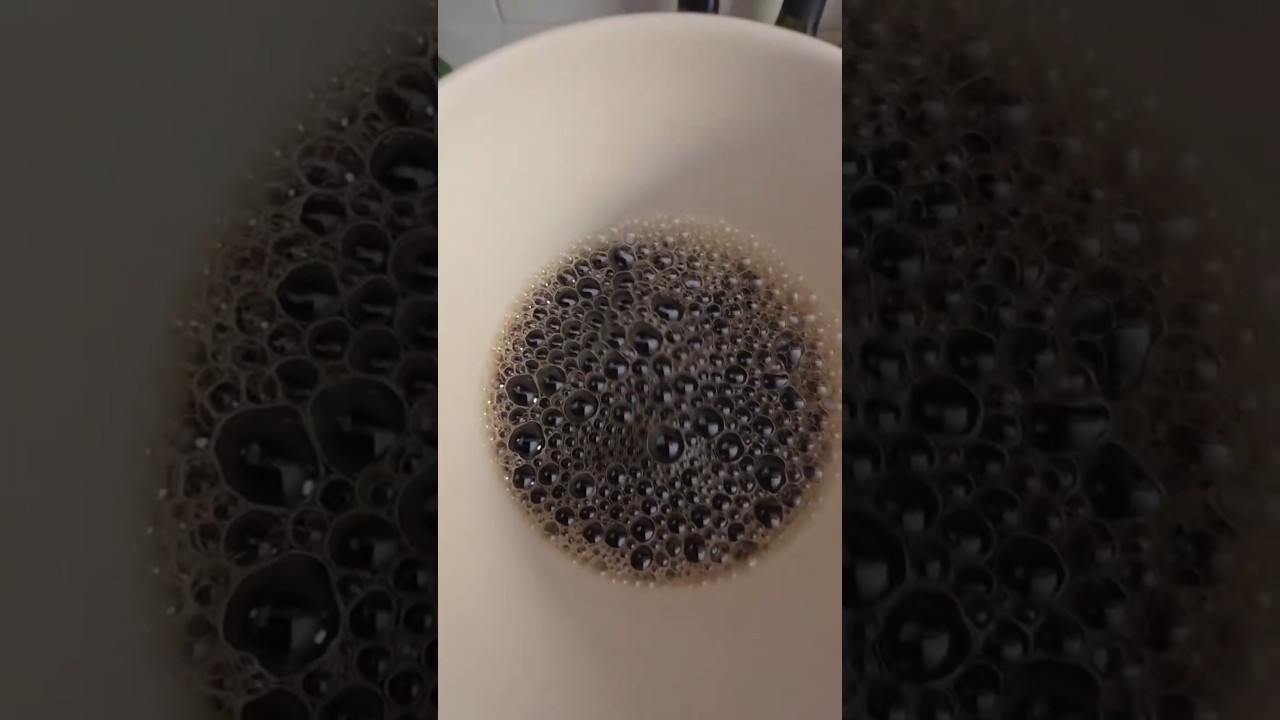 Starbucks Pike Place Roast Whole Bean Coffee ASMR III Part 2 