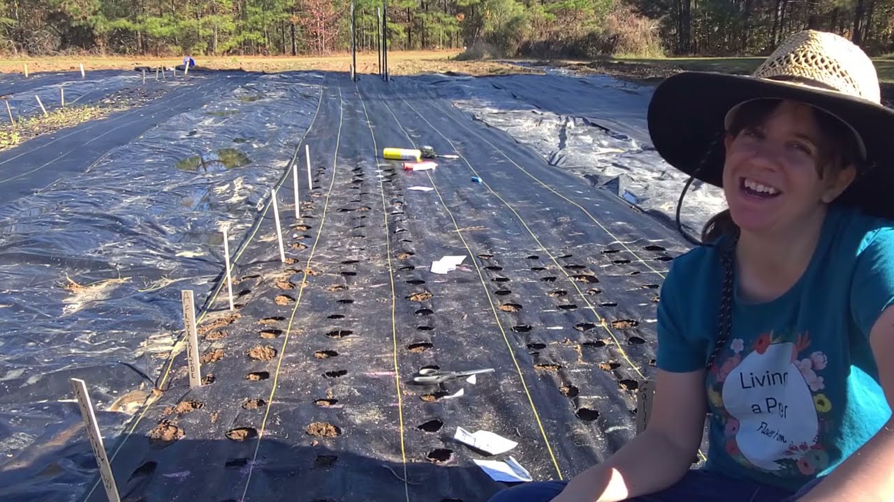 Fall Sowing Nigella Seed for Spring 2022! // Cool Flowers Garden // Living on a Prayer Flower Farm