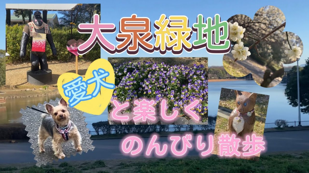 ほぼ垂れ流し動画／ただただ自然たっぷりな公園を眺めるだけの動画