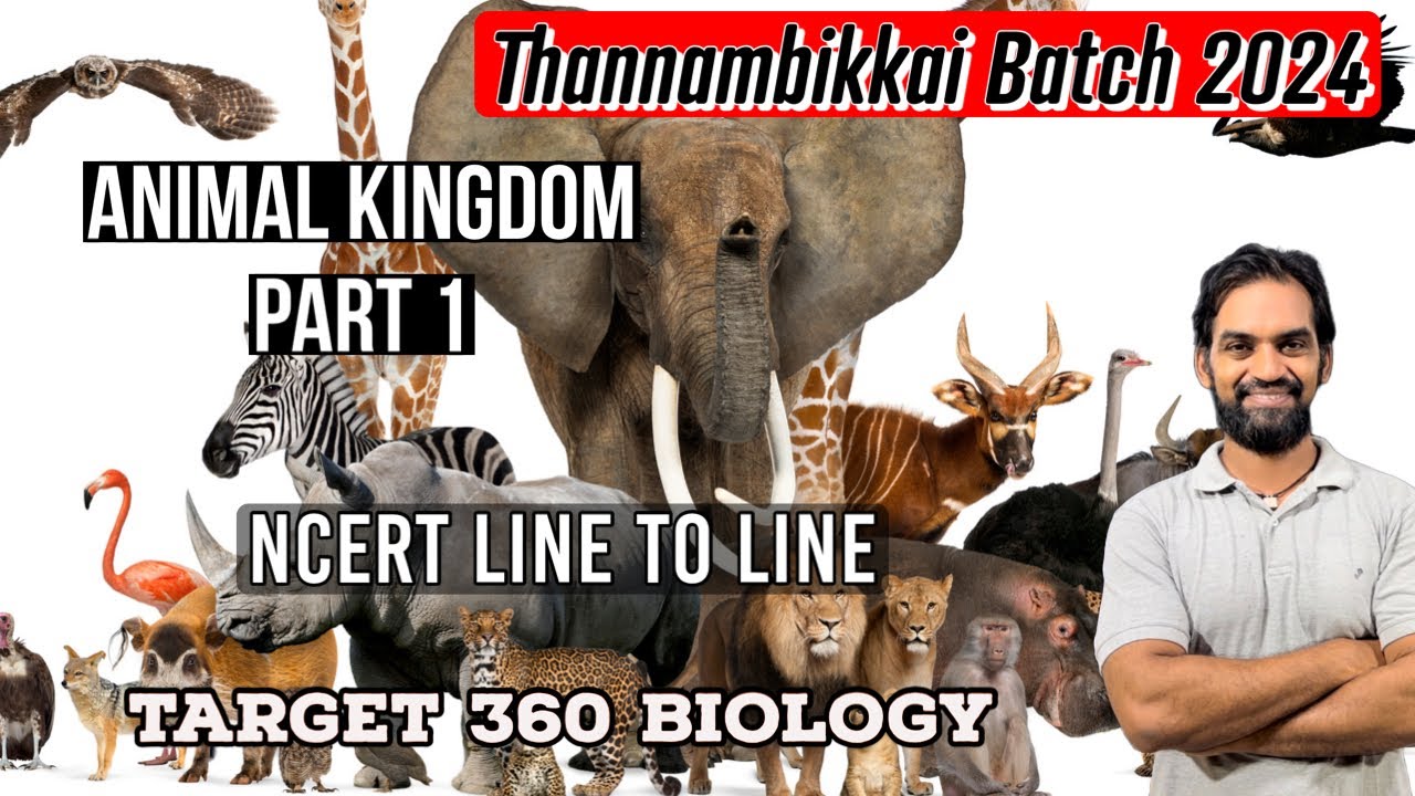 Animal Kingdom | Part 1 | TB 2024