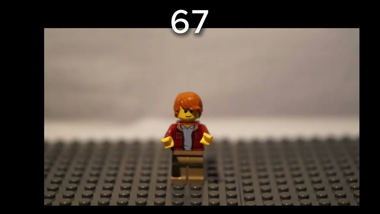 LEGO 67