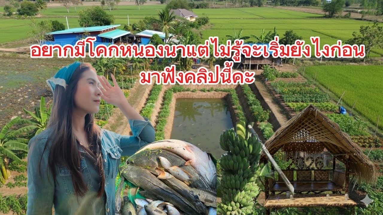 ขุดโคกหนองนาเริ่มต้นยังไงดี