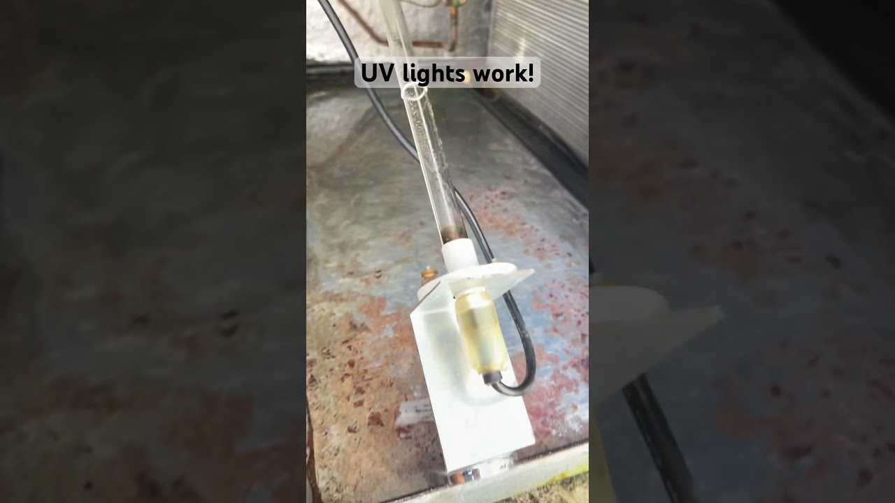 #uv lights work. Check out the #coil on this 10 y/o #trane #hvac #hvaclife #florida #bocaraton #sfl