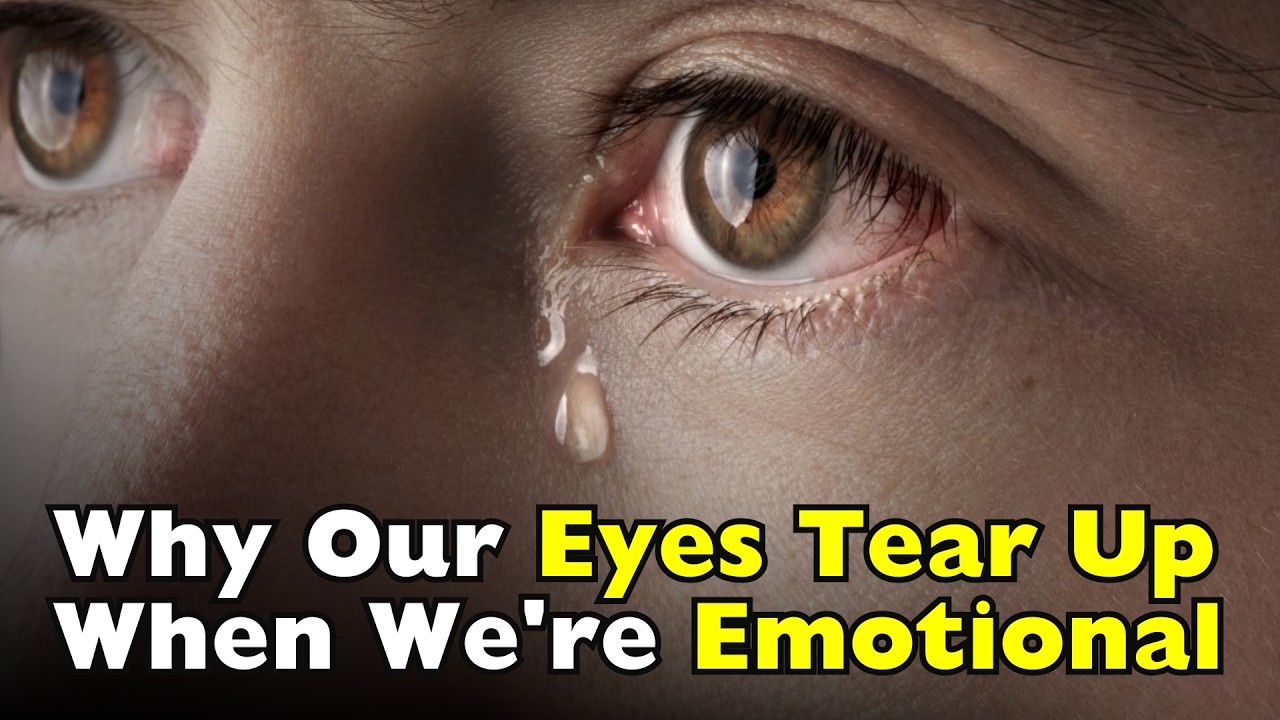 Почему у нас наворачиваются слезы, когда мы испытываем эмоции? [ID0716]