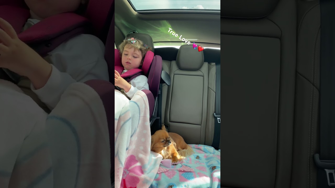 PeT Lover from very beginning 💘