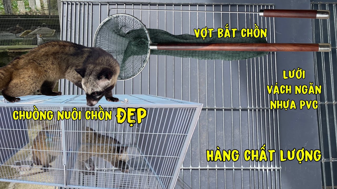 Chuồng Nuôi Chồn Đẹp, Cung Cấp Vợt ,Vách Ngăn Nhựa PVC, Lưới Làm Chuồng Chất Lượng Cao