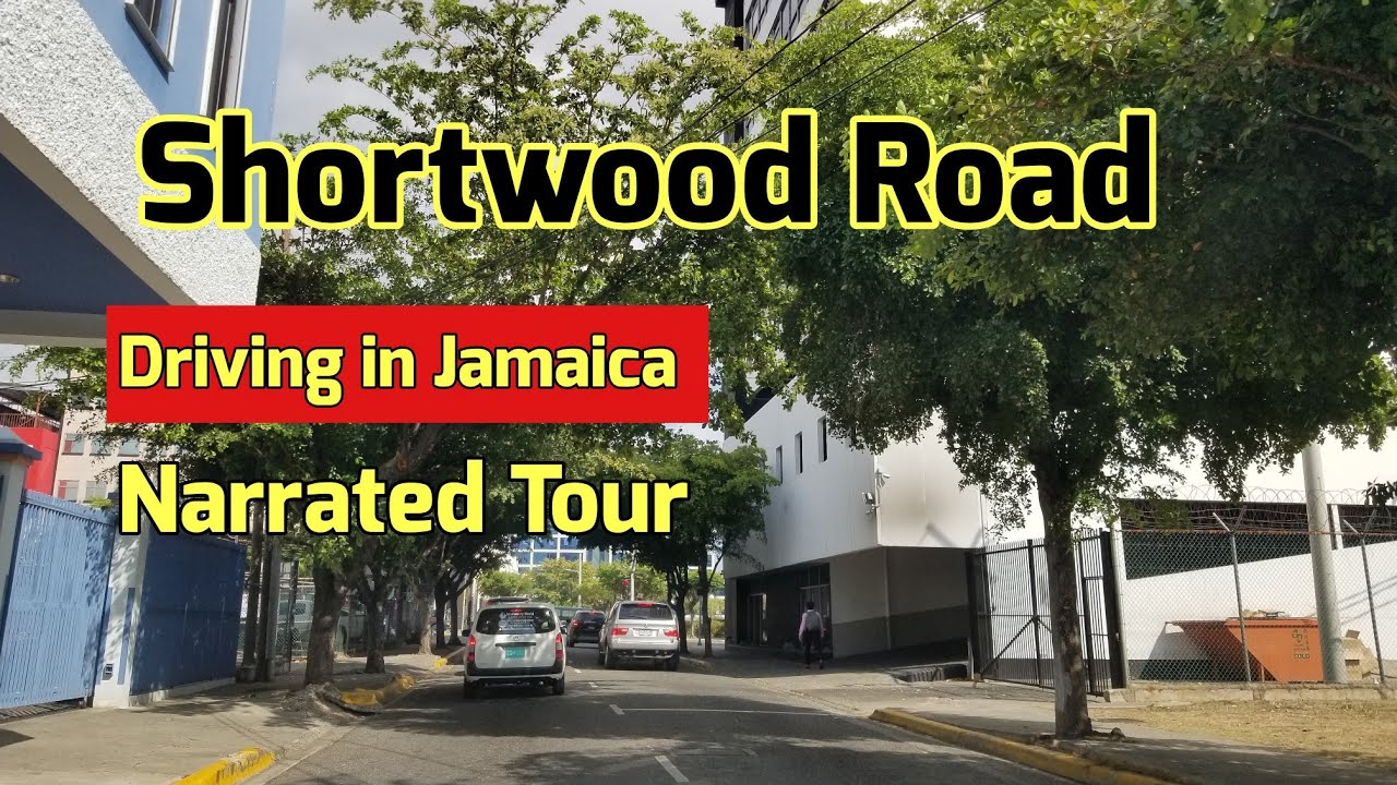 Shortwood | Jamaica