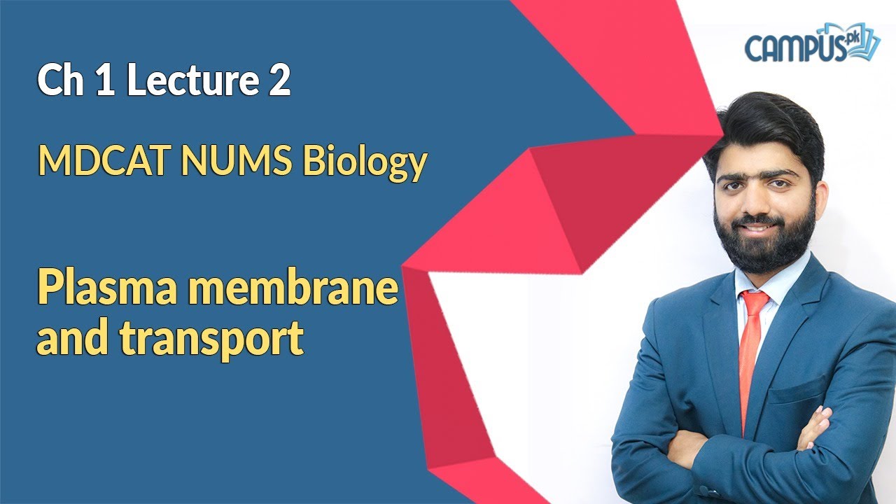 MDCAT NUMS Biology Live Lecture 2, Ch no 1, Plasma membrane and transport