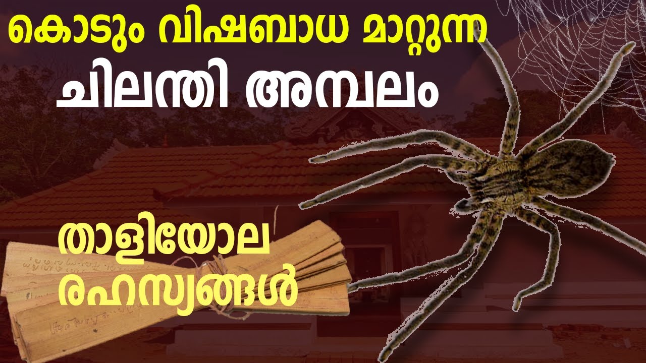 ലോകത്തിലെ ഏക ചിലന്തി ക്ഷേത്രം കേരളത്തിൽ | Kodumon Chilanthiyambalam | Pathanamthitta | Kerala