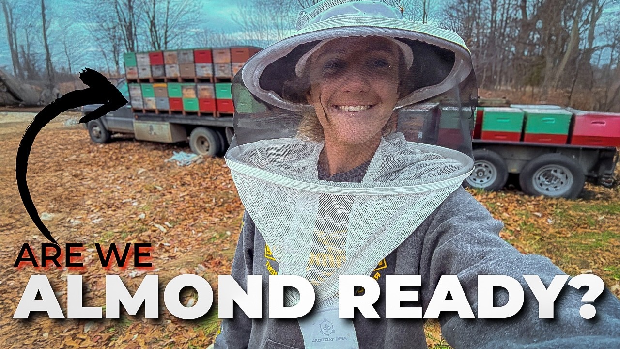 Как мы готовим 200 ульев к опылению калифорнийского миндаля (часть 2) #пчеловодство