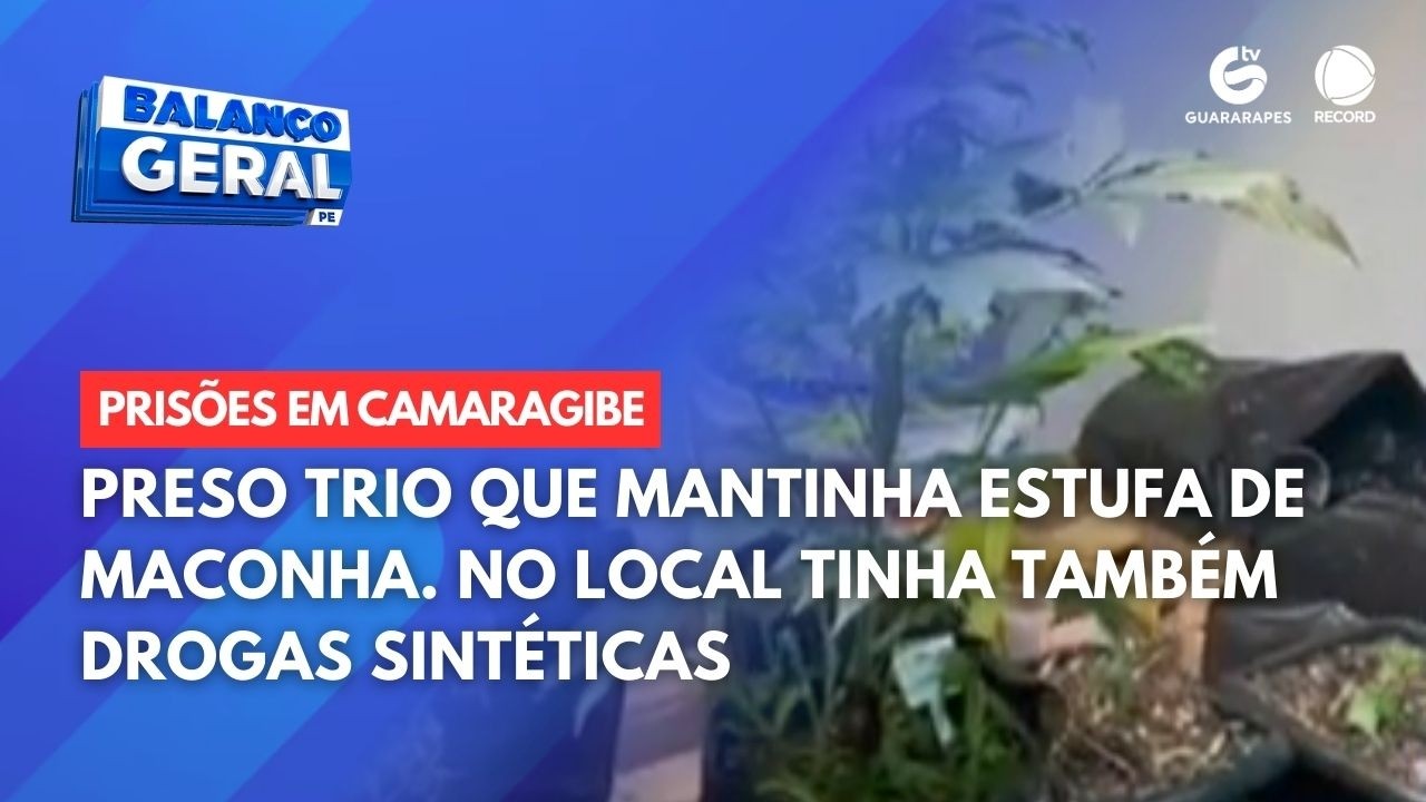 Preso trio que mantinha estufa de maconha. No local tinha também drogas sintéticas