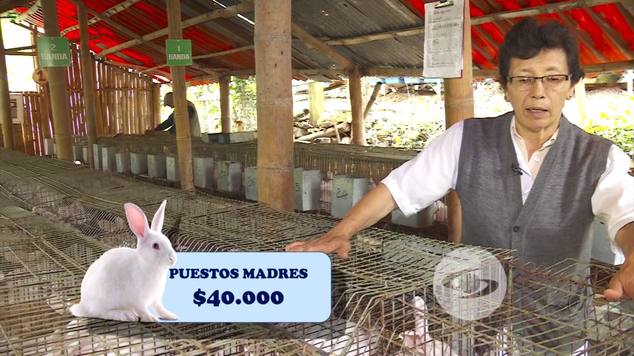 Haga cuentas y evalúe los resultados | La Finca de Hoy