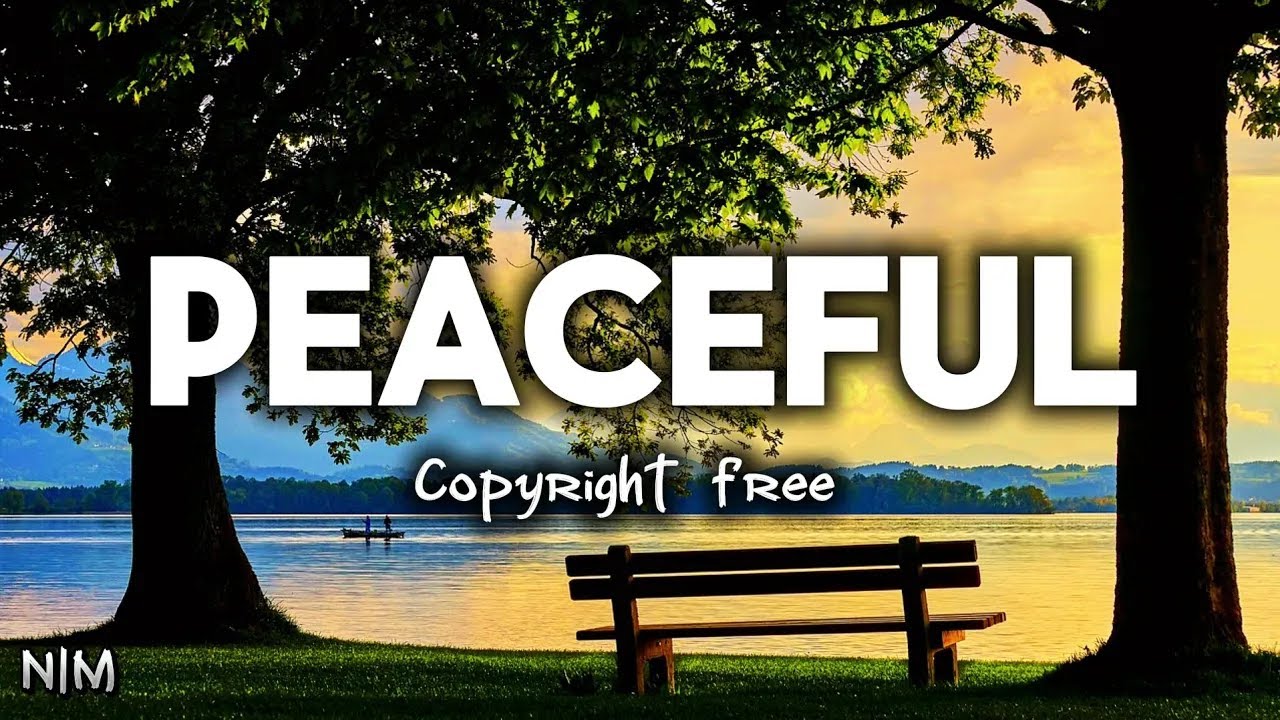 Ambient Copyright-Free Soundtrack | Peaceful Forest Views with Soft Music