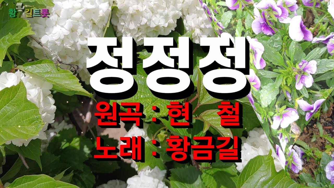 [Cover] 황금길 - 정정정  (원곡 현철)   영상가사