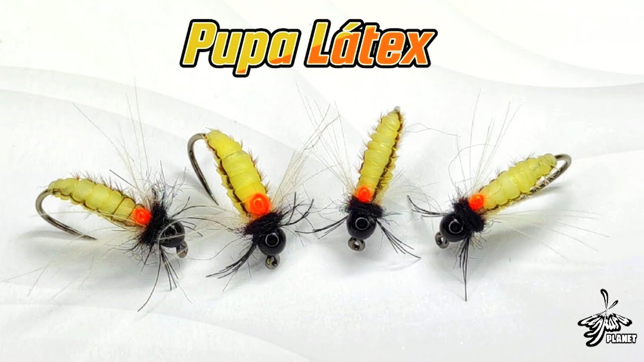 Montaje de moscas: Pupa Látex. Montaje de ninfas de canutillo.