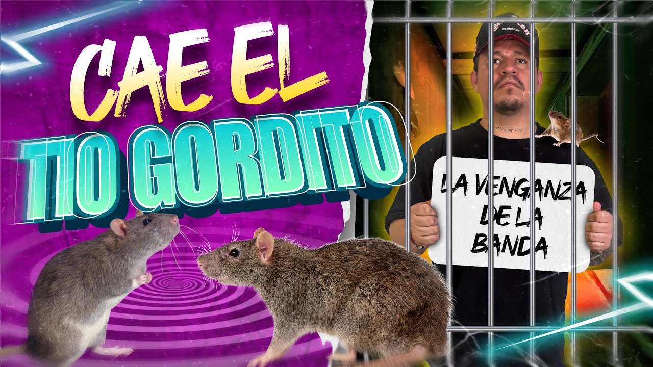 Cae el “TIO GORDITO” (La venganza de la banda)😈