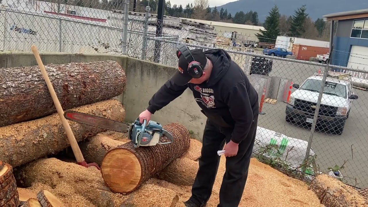 Donny walkers chainsaws running old xl12
