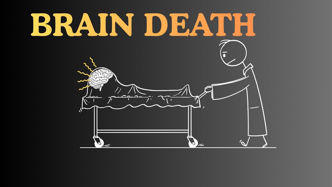 What is Brain Death?