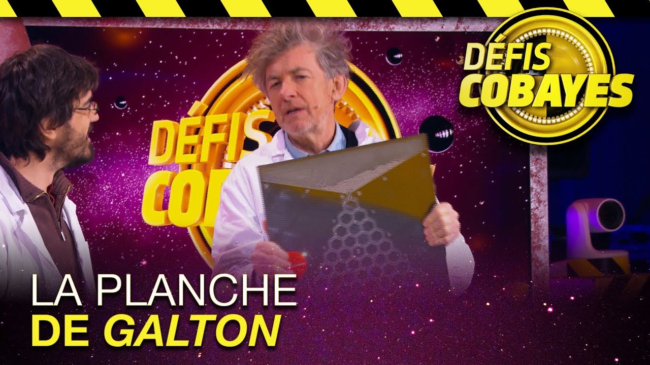 Mathématiques : la planche de Galton - Défis Cobayes - France 4