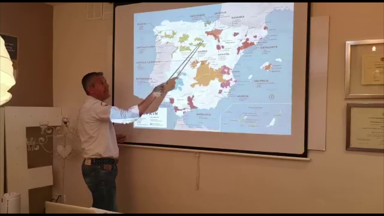 Vicente Mancheño: Denominaciones de Origen en España, Vinos